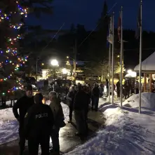 Inlet tree lighting